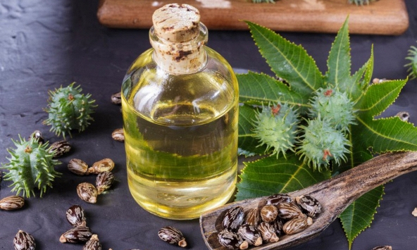 Dầu thầu dầu bỗng trở nên 'thần kỳ', nhưng đừng vội tin Tiktok