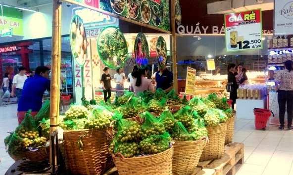 Vào mùa thu hoạch, nhãn rớt giá thảm hại