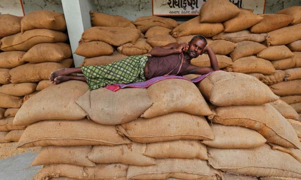 Ấn Độ có nhiều lựa chọn tốt hơn ngoài việc cấm xuất khẩu gạo