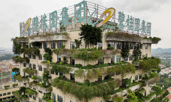 Country Garden: Khủng hoảng bất động sản ở Trung Quốc tệ đến mức nào?