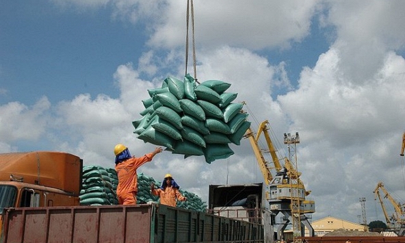 Đảm bảo đủ lương thực dự trữ ứng phó các tình huống cấp bách