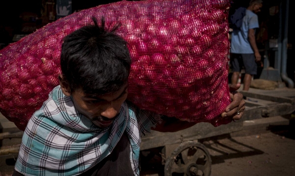 Cà chua và hành tây: Kẻ thù trong cuộc chiến chống... lạm phát tại Ấn Độ