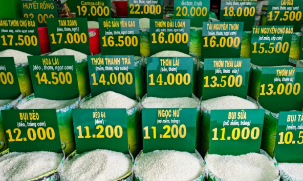 Giá gạo tăng vọt, an ninh lương thực toàn cầu ngày càng nghiêm trọng