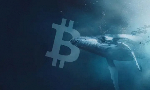 Một ví bí ẩn đã tích lũy hơn 3 tỷ USD Bitcoin chỉ trong vòng 3 tháng