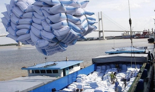 Giữ thương hiệu gạo Việt giữa biến động lương thực toàn cầu