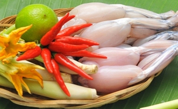 Cách phân biệt ếch đồng - ếch nuôi, cách làm ếch chi tiết an toàn