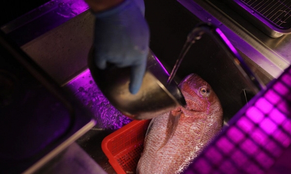 5 điều cần biết để bắt đầu ngày mới (25/8)