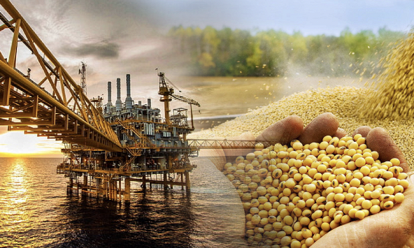 Giá hàng hóa nguyên liệu tiếp tục khởi sắc