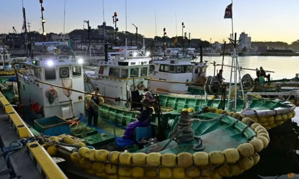 Nhật Bản khẳng định không phát hiện bất thường trong mẫu cá sau khi xả nước thải hạt nhân