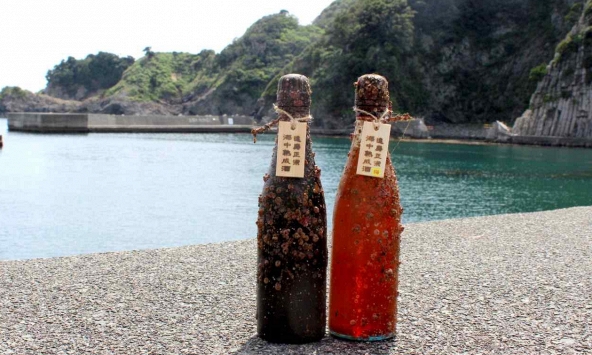 Bí kíp ủ rượu Sake dưới nước làm vị càng thêm đậm đà