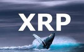 29 triệu XRP được chuyển lên Bitstamp, dấy lên lo ngại sụp giá