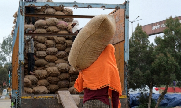 Ấn Độ thắt chặt hơn nữa xuất khẩu gạo, đe dọa nguồn cung toàn cầu