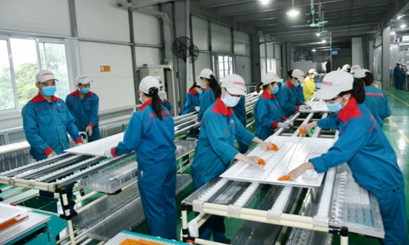 Số lượng doanh nghiệp thành lập mới lập kỷ lục