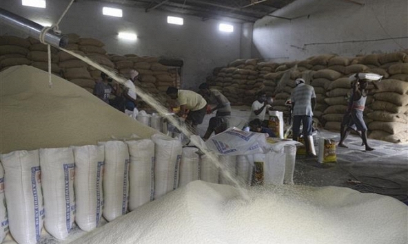 Ấn Độ cho phép xuất khẩu gạo sang Singapore