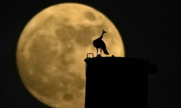 Siêu trăng xanh hiếm hoi mê hoặc những người ngắm sao trên toàn cầu