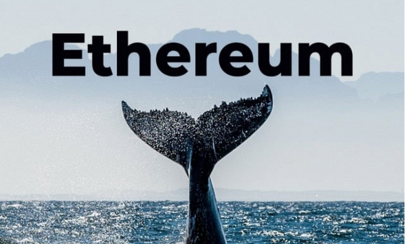 Một ví cá voi khổng lồ vừa cắt lỗ 12.000 ETH