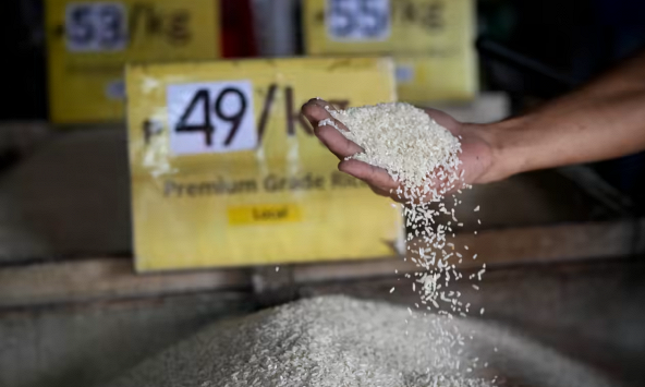 Tổng thống Philippines Marcos ấn định trần giá gạo