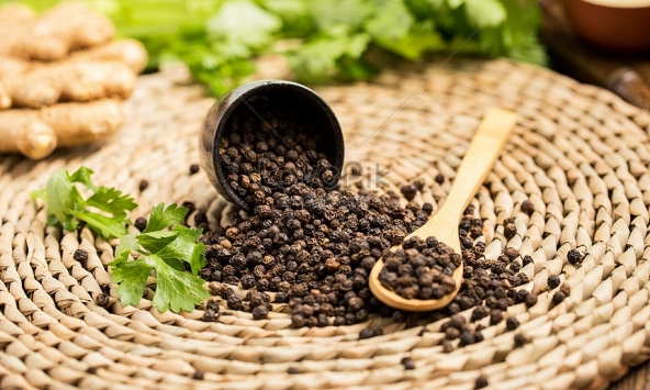 Giá tiêu hôm nay 5/9: Tăng 500 đồng/kg