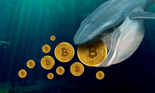 Có bao nhiêu cơ hội để ETF Bitcoin giao ngay được phê duyệt trong năm nay?