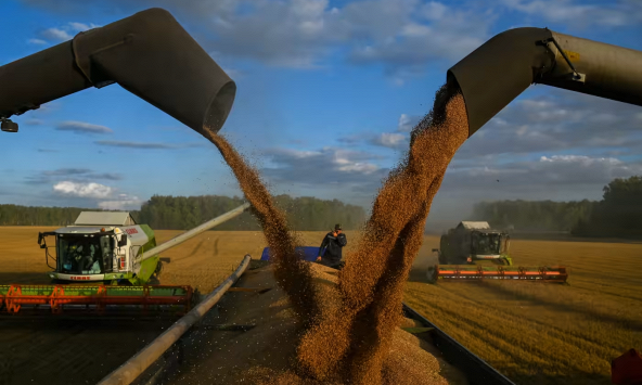 G20 kêu gọi xuất khẩu ngũ cốc Ukraina để giảm lạm phát