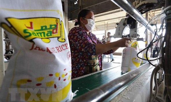 Giá gạo 5% tấm của Việt Nam giảm xuống mức thấp nhất trong một tháng