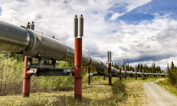 Giá gas hôm nay 13/9: Giảm nhưng vẫn ở mức cao