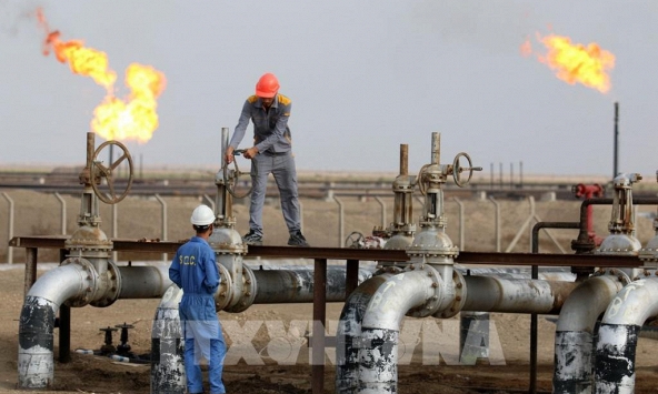 Giá gas hôm nay ngày 15/9: Giảm nhẹ