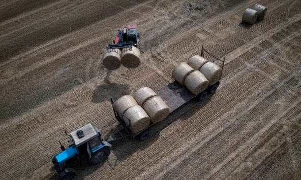 EU dỡ bỏ lệnh cấm ngũ cốc của Ukraina nhưng các nước láng giềng áp đặt hạn chế riêng