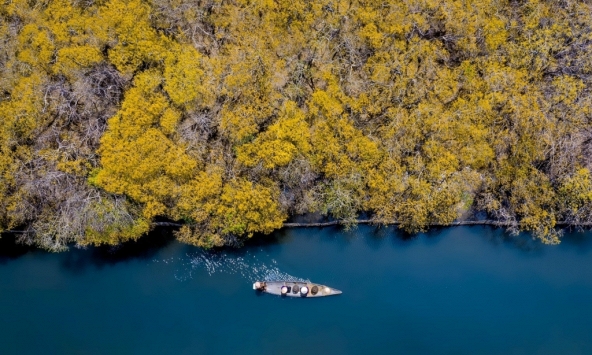 Sắc màu Rú Chá nao lòng vào thu