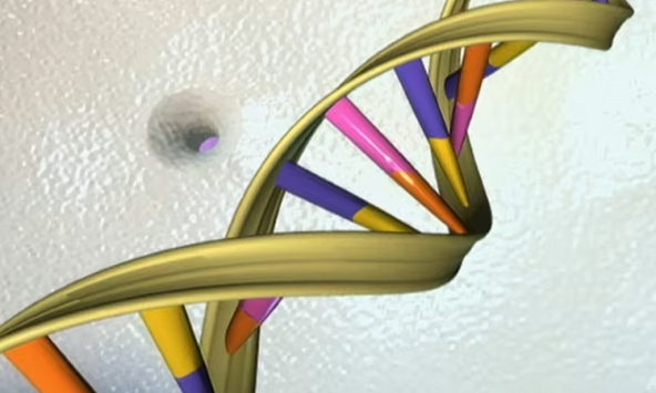 Công cụ Google AI dự đoán nguy cơ đột biến gen