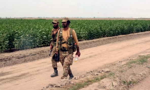 Thiếu lương thực, quân đội Pakistan thuê đất làm nông nghiệp