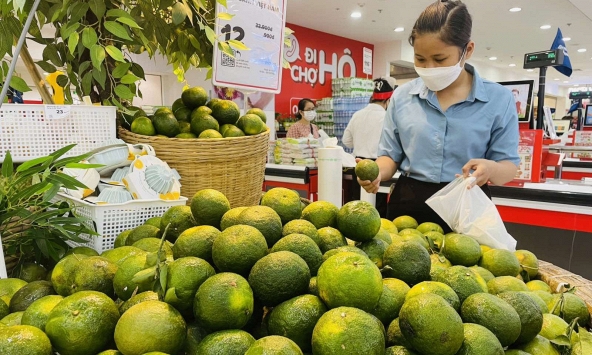 Thực phẩm hôm nay 27/9: Một số loại nông sản tăng giá