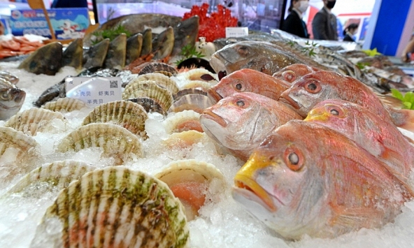 Xuất khẩu thủy sản Nhật Bản sang Trung Quốc giảm 76%  sau lệnh cấm