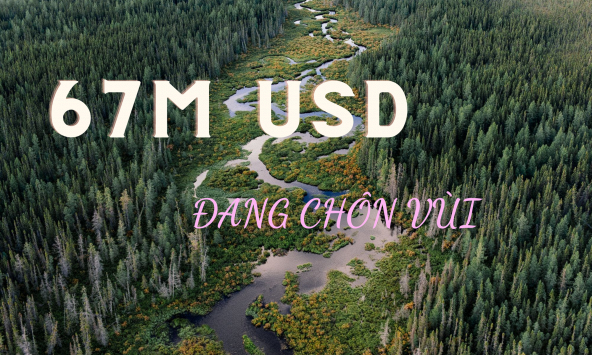 67 tỷ USD khoáng sản quý hiếm được chôn dưới 'Vành đai lửa'