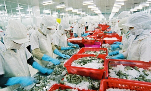 Đà giảm xuất khẩu thủy sản chậm lại