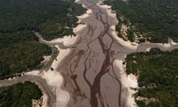 Hạn hán ở Amazon làm tắc nghẽn giao thông đường thủy, đe dọa xuất khẩu ngô