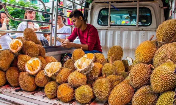 Các nước Đông Nam Á 'tranh giành' thị trường sầu riêng trị giá 4 tỷ USD của Trung Quốc