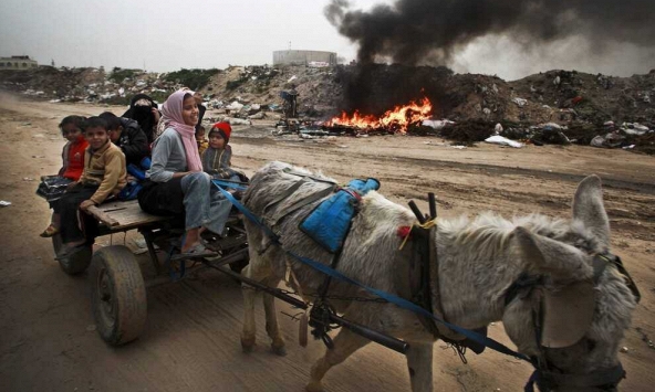 Triệu người dân dải Gaza chen chúc tháo chạy trên đủ loại phương tiện khi 'giờ G' sắp điểm