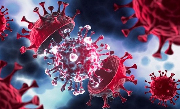 Những dấu mốc đáng chú ý sau gần 4 năm COVID-19 xuất hiện tại Việt Nam