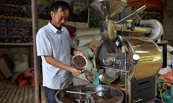 Giá cà phê hôm nay 24/10: Tăng 1.000 đồng/kg