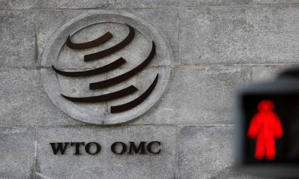 Ấn Độ đề xuất định nghĩa rõ ràng về thương mại điện tử đối với hàng hóa, dịch vụ trong WTO