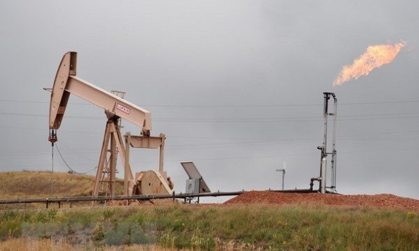 Giá gas hôm nay ngày 3/11: Giảm nhẹ