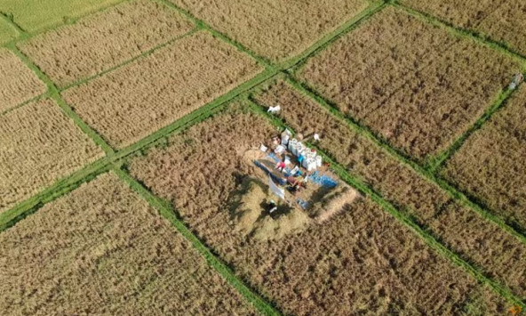 Indonesia đặt hạn ngạch nhập khẩu gạo năm 2024 ở mức 2 triệu tấn