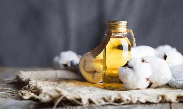 Dầu hạt bông và những tác dụng không thể bỏ lỡ cho sức khỏe