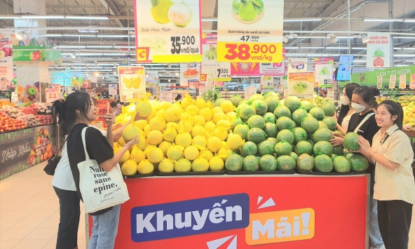 Thực phẩm hôm nay 8/11: Giá bưởi, thanh long và nhiều loại trái cây tăng