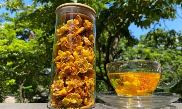 Trà hoa vàng - giảm căng thẳng và lo âu hiệu quả