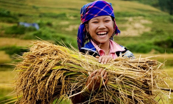 Bài học về đầu tư cổ phiếu cho những người muốn giàu nhanh và thiếu kiên nhẫn