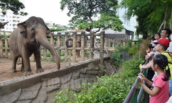 Thảo Cầm Viên Sài Gòn báo lãi kỷ lục trong vòng 10 năm
