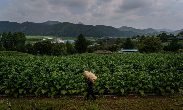 Hàn Quốc chuyển sang sử dụng lao động nhập cư để thúc đẩy tăng trưởng