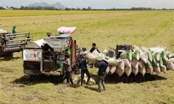 Việt Nam đảm bảo an ninh lương thực trong mọi tình huống
